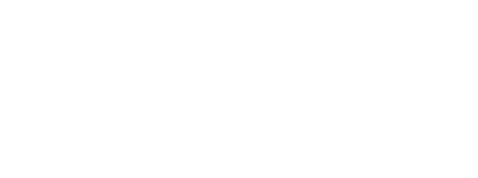 HanseLifter